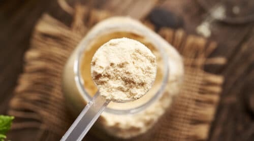 Whey protein powder in a measuring scoop above a jar, top view