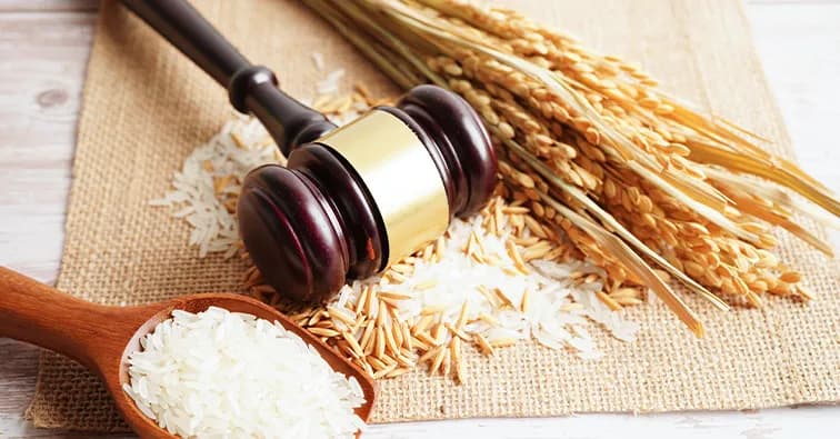 Food Regulations in Europe vs. the US