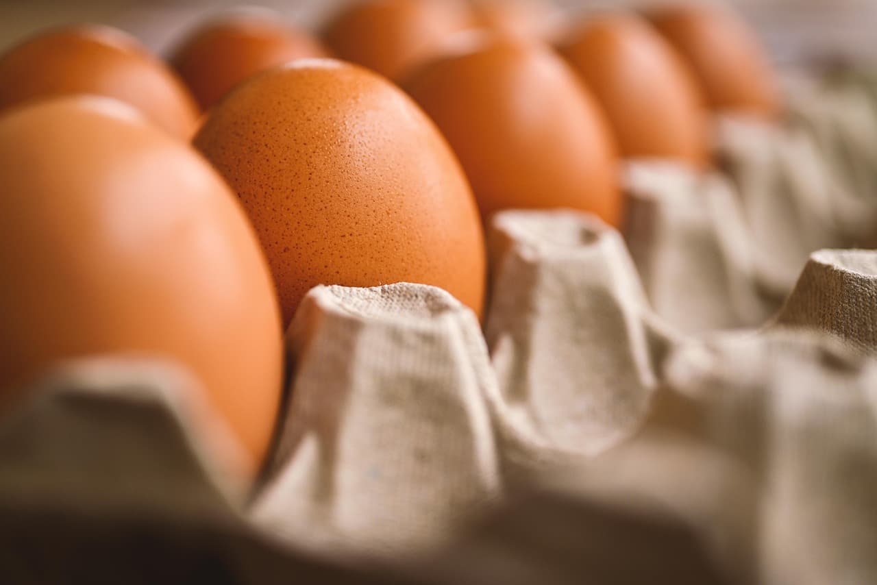 Akirevarga Egg 7345934 1280