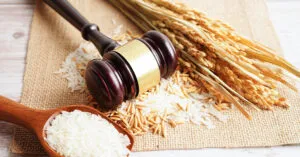 A gavel next to wheat, rice, and grains.