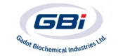 GBi