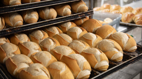 French bread on cooling racks in a bakery.